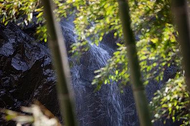《暗黑地牢2》首个DLC将于12月推出 新增两位英雄