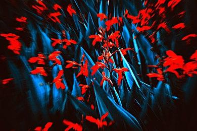 《最终幻想7：重生》实体典藏版偷跑 艺术集谍照公开