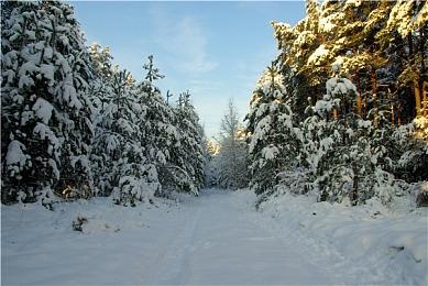 《原神》3.4版本「磬弦奏华夜」1月18日上线 新PV公布